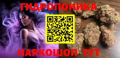 шишки Волжский