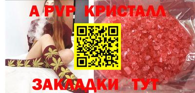 шишки Волжский