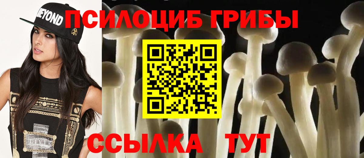 Галлюциногенные грибы ЛСД Можга