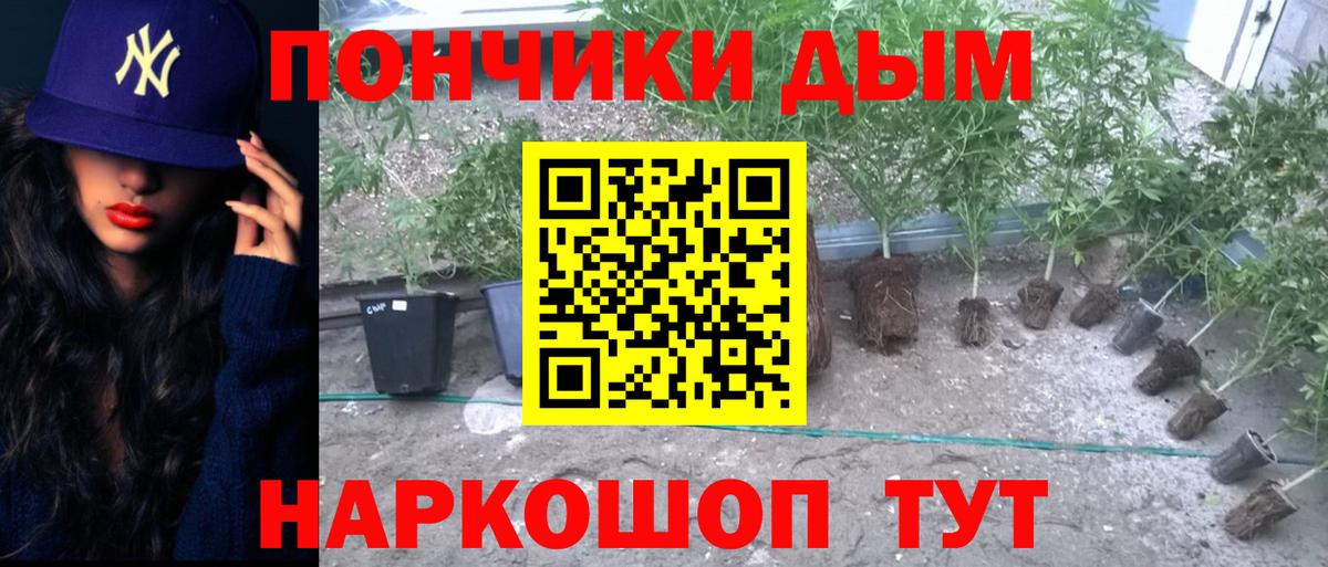 Каннабис марихуана  Вход с VPN  Можга  МАРИХУАНА VHQ 